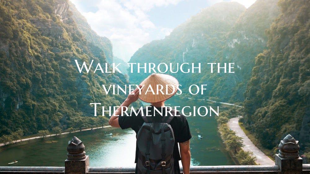Walk through the vineyards of Thermenregion