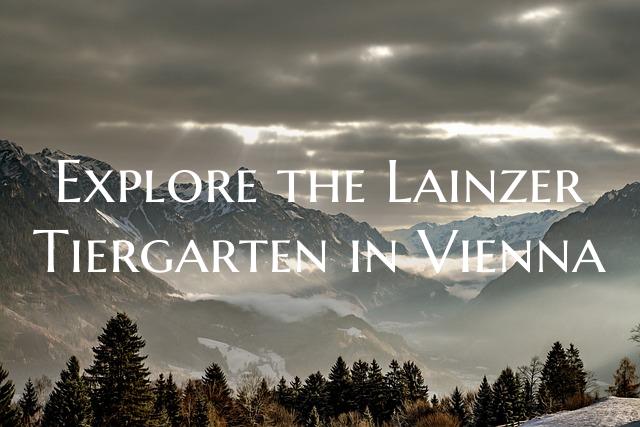 Explore the Lainzer Tiergarten in Vienna